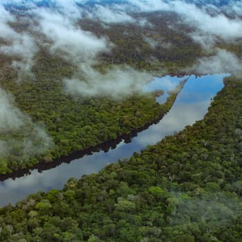 Foto: Wérica Lma/Amazônia Real